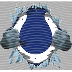 rugby team-NF 6586